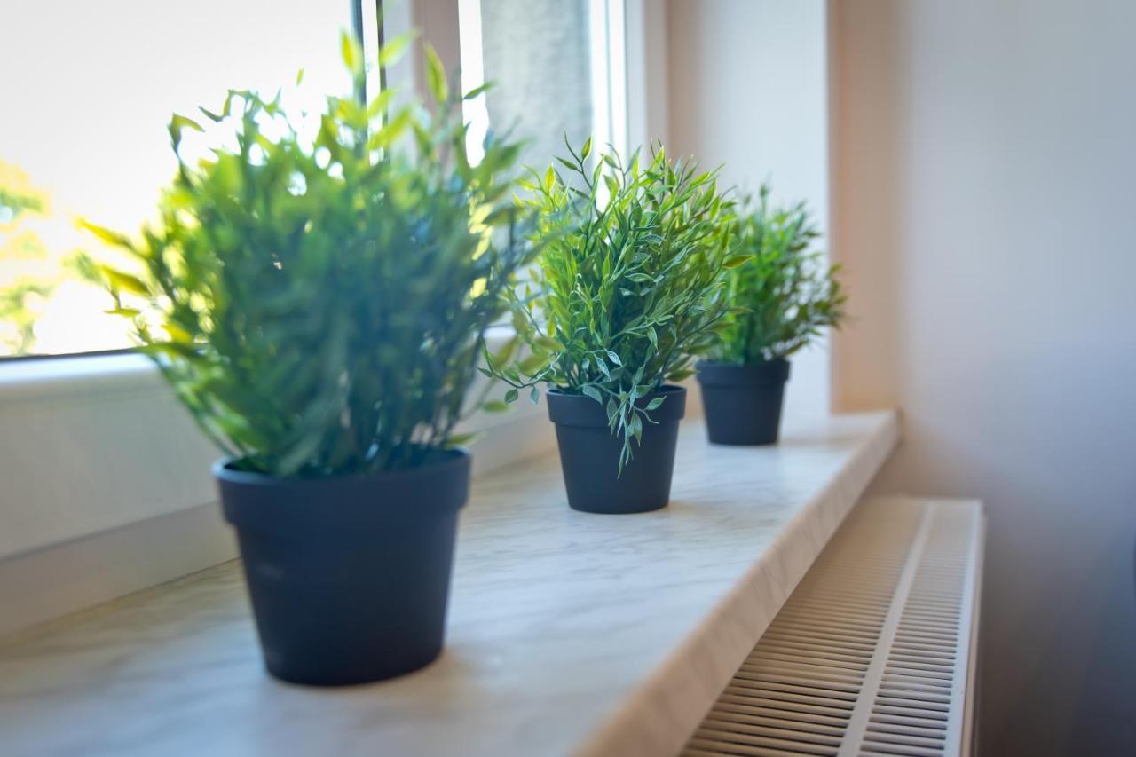 Apartament Kalinka Nysa Eksteriør billede